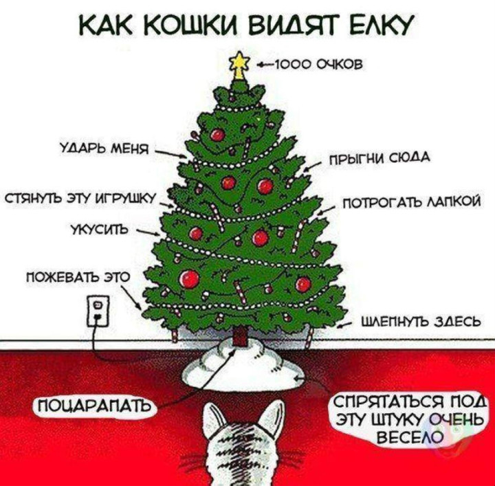 Как надо ответить с новым годом Как надо ответить с новым годом