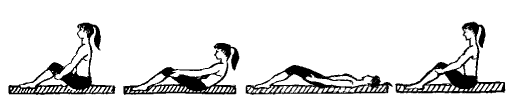 2pil.gif 2pil.gif