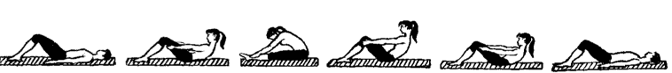 3pil.gif 3pil.gif