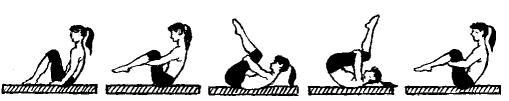 5pil.gif 5pil.gif