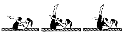 7pil.gif 7pil.gif