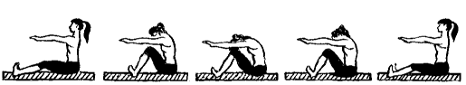 8pil.gif 8pil.gif