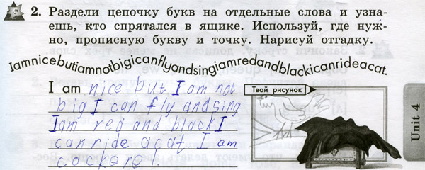 905kokerel.jpg 905kokerel.jpg