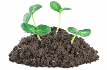 gipoteza.jpg gipoteza.jpg