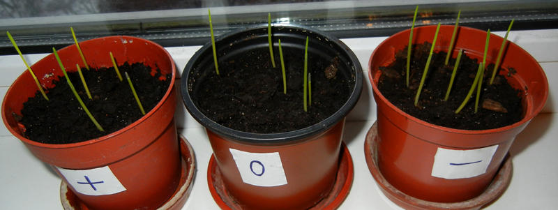 musika3.jpg musika3.jpg