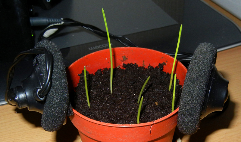 musika4.jpg musika4.jpg