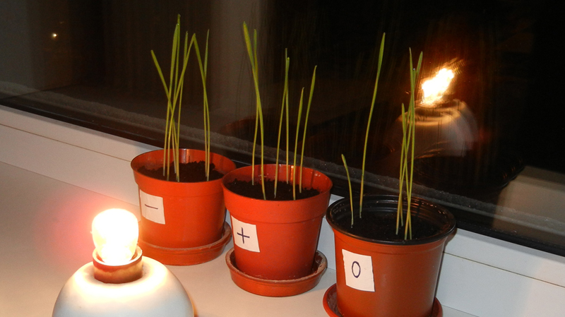 musika5.jpg musika5.jpg