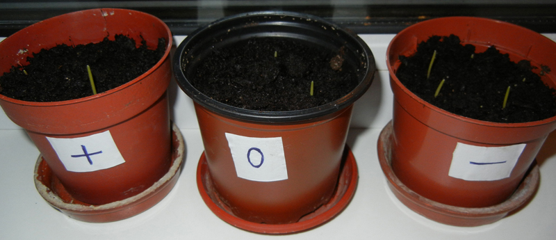 muzika2.jpg muzika2.jpg