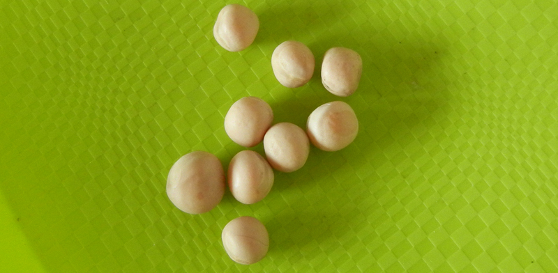 slovo0.jpg slovo0.jpg