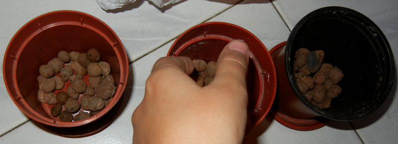 slovo01.jpg slovo01.jpg