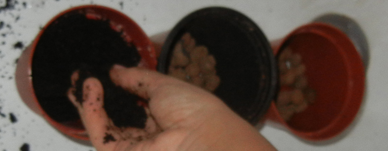 slovo02.jpg slovo02.jpg