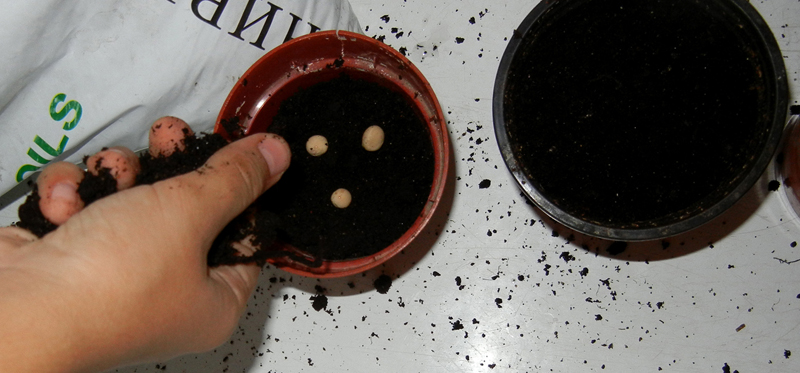 slovo03.jpg slovo03.jpg