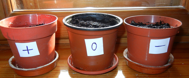 slovo04.jpg slovo04.jpg