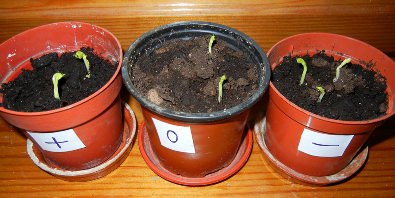 slovo1.jpg slovo1.jpg