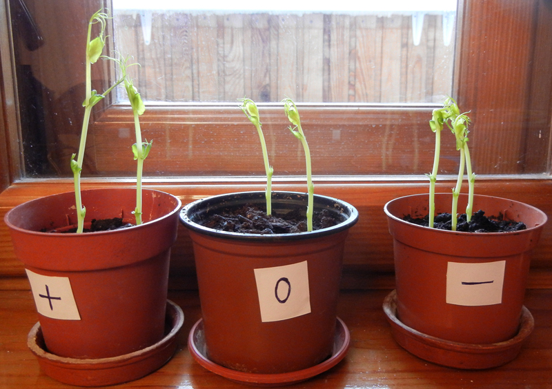 slovo2.jpg slovo2.jpg