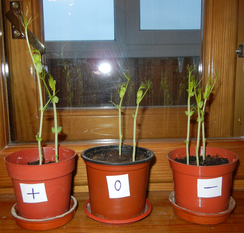 slovo3.jpg slovo3.jpg