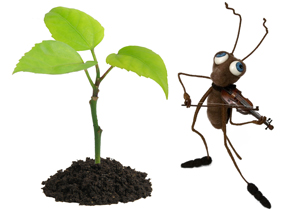 zadachi.jpg zadachi.jpg