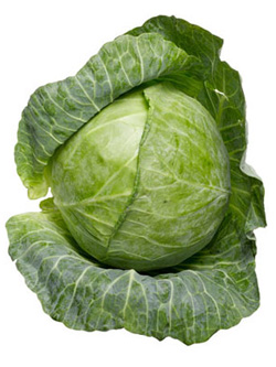 kapusta.jpg kapusta.jpg