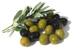 masliny.jpg masliny.jpg