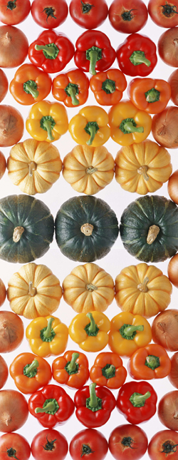 obstihi.jpg obstihi.jpg