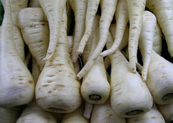 pastinac.jpg pastinac.jpg