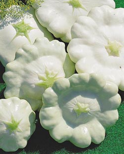 pattison.jpg pattison.jpg