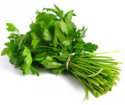 petrushka.jpg petrushka.jpg