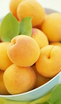 abrikos.jpg abrikos.jpg