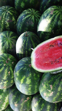arbuz.jpg arbuz.jpg