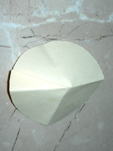 muhomsl6.jpg muhomsl6.jpg