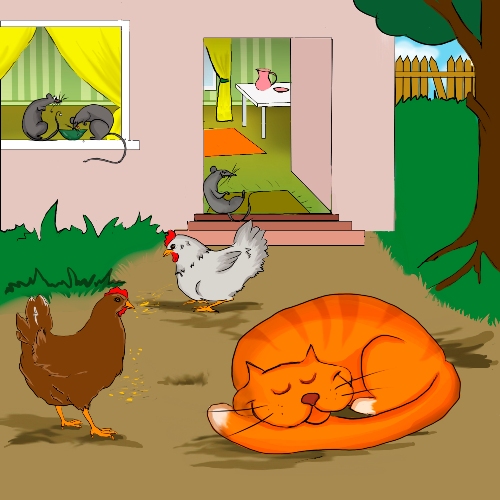 markiz_500.jpg markiz_500.jpg