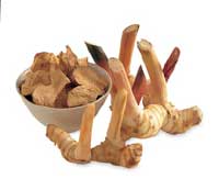 galgant.jpg galgant.jpg