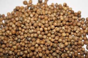 koriandr.jpg koriandr.jpg