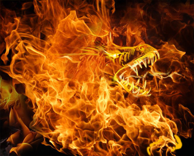 firedragon.jpg firedragon.jpg