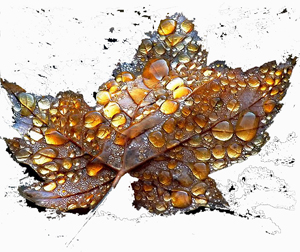 oslist.jpg oslist.jpg