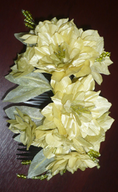 2104zvmal3.jpg 2104zvmal3.jpg