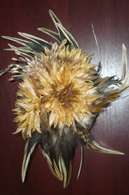 2104zvmal6.jpg 2104zvmal6.jpg