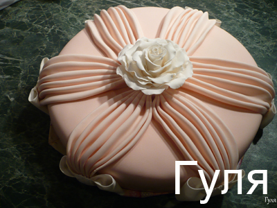 tortgulia5.jpg tortgulia5.jpg