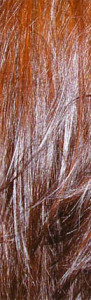 Хна – лучшая краска для волос.
