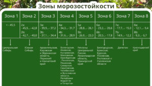 Цифры зон морозостойкости это что?